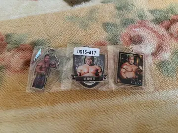 DRAGONGATE 드래곤 게이트 콘도 슈지 아크릴 키링