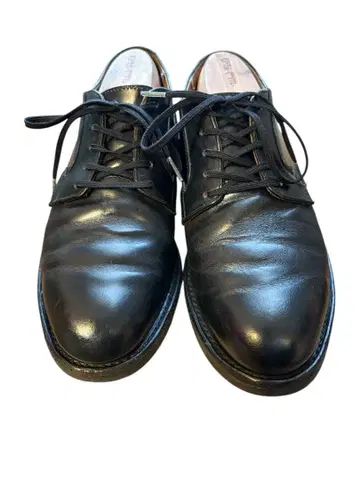 RED WING 포스트맨 US7.5 2010년 제조