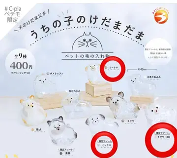 우리 아이의 털뭉치 믹스, 치와와 화이트, 푸들 세트