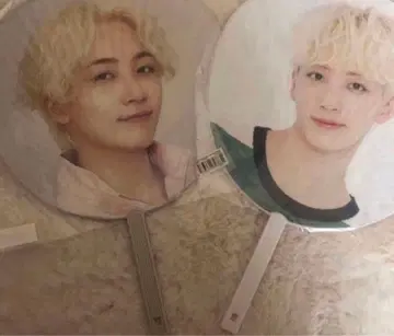 SEVENTEEN 정한 부채 세트 트레이딩 카드