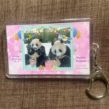 어드벤처 월드 팬더 사쿠라하마 모모하마 키링 패밀리