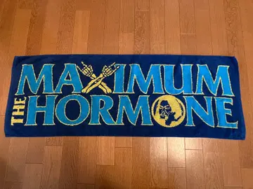 MAXIMUM THE HORMONE 타월