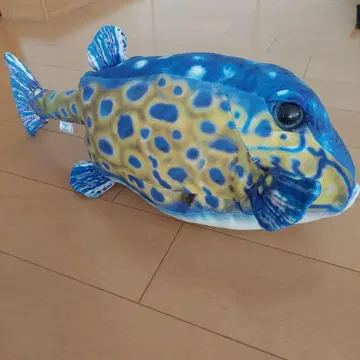 오사카나쿤 봉제 인형 하코후구