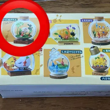 피크민 테라리움 뽑히는 올리마