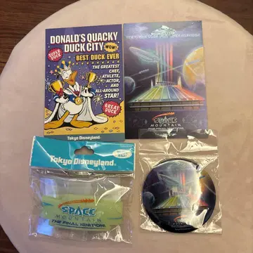 디즈니 스페이스 마운틴 파이널