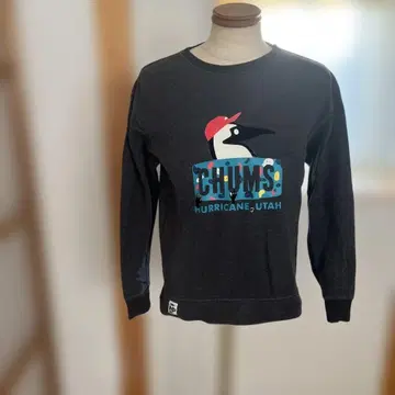 CHUMS 트레이닝복 사이즈 M