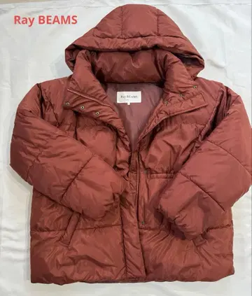 Ray BEAMS 충전솜 후디드 블루종 다운