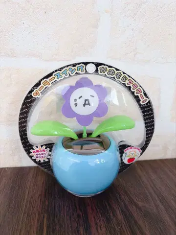 솔라 스윙 카오모지 플라워 헤이세이 레트로