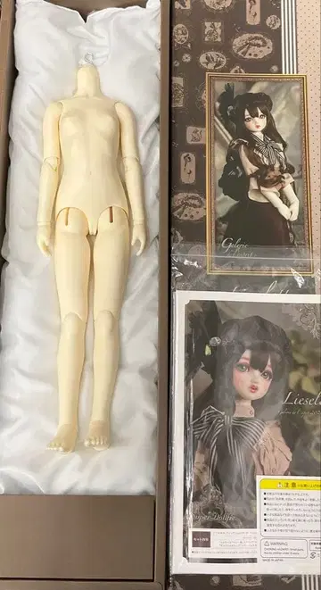 보크스 SD 여아 리제로테 화이트 스킨 오리진 바디