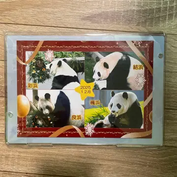 레어 한정판 팬더 패밀리 어드벤처 월드 사진 액자 L 사이즈 대응