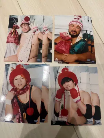 ddt 프로레슬링 12월 랜덤 브로마이드 세트