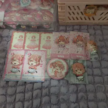 카라피치 노아 묶음 판매