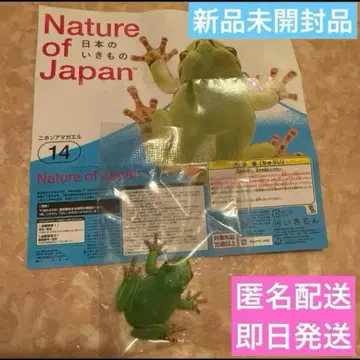 네이처 테크니컬러 일본의 생물 02 일본청개구리 미개봉 새상품