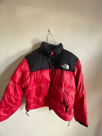 THE NORTH FACE 다운 자켓 빨검