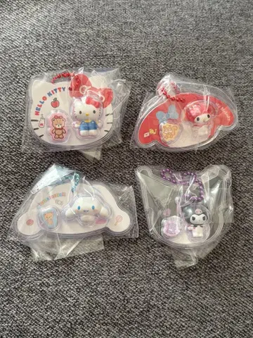 산리오 패키지 참 시크릿 마이멜로디 키티 시나모롤