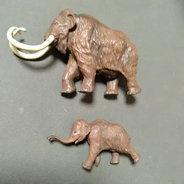 아니아 맘모스 부자 세트!