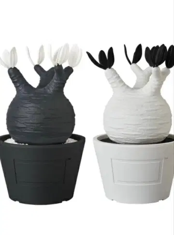 [ 미개봉 새상품 ] 보타나이즈 메디콤토이 블랙 화이트 2체 세트