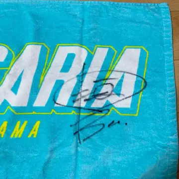 사인 포함 페르시카리아 타월