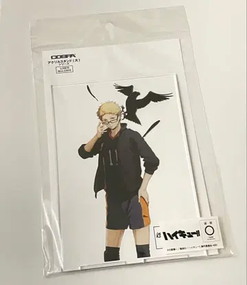 하이큐 코스파 아크릴 스탠드 (대) Ver.1.0 츠키시마