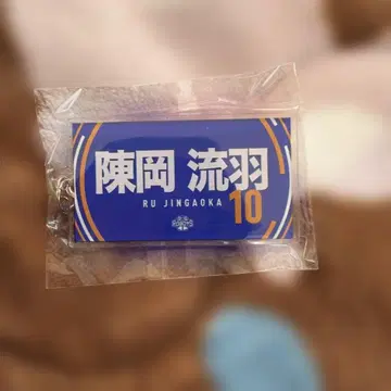 류우 진강 키링 10