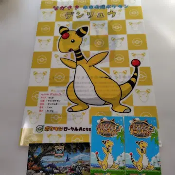 덴류 클리어 파일 세트