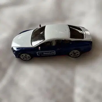 2016년 모델 파랑과 화이트 미니카