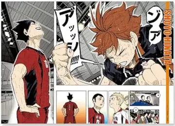 하이큐 명장면 포스터 히나타 쇼요