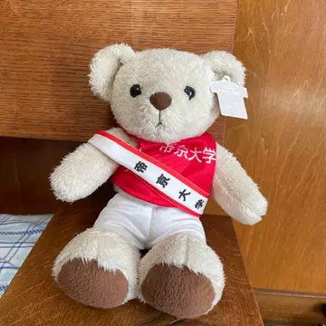 테이쿄 대학 역전 테디베어