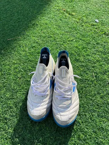 미즈노 모렐리아 네오 sala beta japan TF