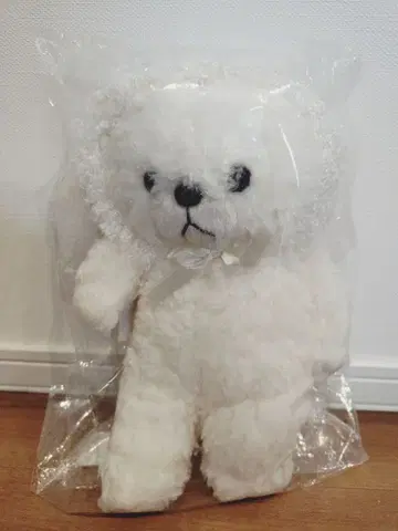 애프터눈 티 코코니스트 Coconuts 곰 봉제 인형