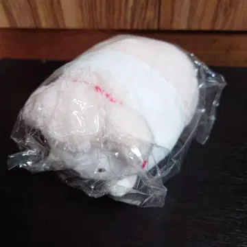 스미코구라시 산엑스 온라인샵 한정판 장면 봉제 인형 ~강아지 해~시로쿠마