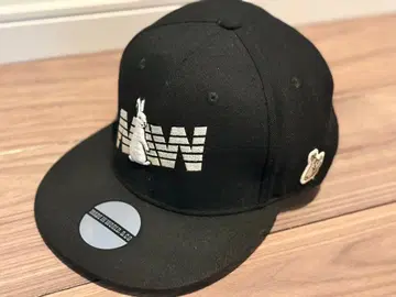 FR2 자수 포함 블랙 캡