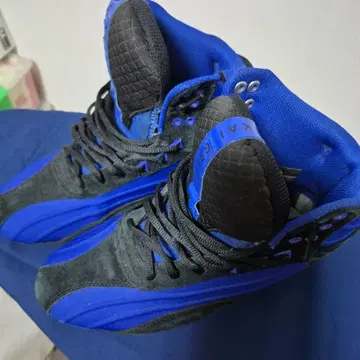 라이더 웨어 카이 그린 GREENE 블랙/블루