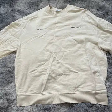 ZARA 맨투맨 트레이닝복 EUR L