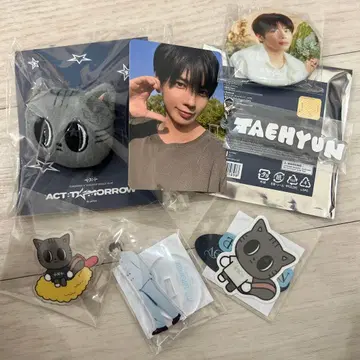 TXT 다고냥 태현 아크릴 참 마스코트 반지