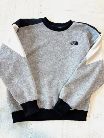 THE NORTH FACE 맨투맨 L