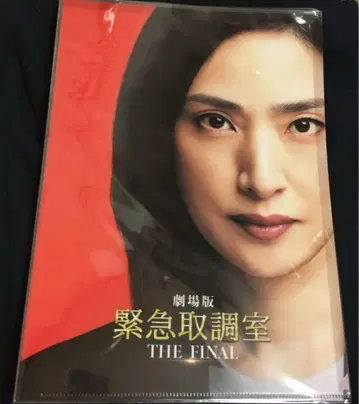 영화 극장판 긴급취조실 THE FINAL 클리어 파일 세트 아마미 유키