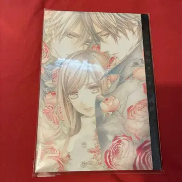 [ 미개봉 ] 뱀파이어 기사 25주년 히노 마츠리 원화전 공식 비주얼 북