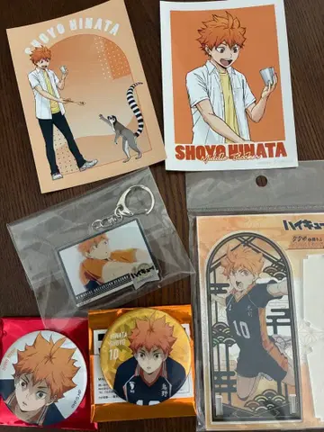 하이큐 히나타 쇼요 굿즈 세트 6점