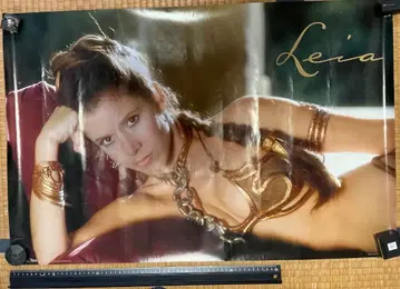 [ 귀중 ] 칼리 피셔 포스터 배송비 포함