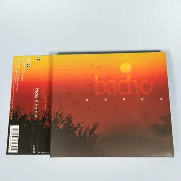 최고신 기억 bacho