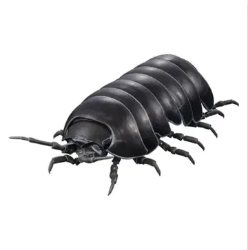 [ 익명 배송 ] 생물대도감 어드밴스 공벌레 공벌레