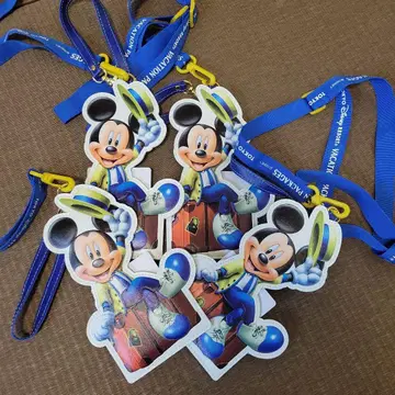 미키마우스 바케이션 패키지