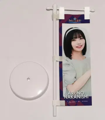 나카니시 아루노 미니 등신대 초! 노기자카 스타 탄생!