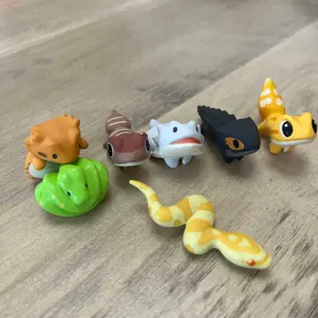 파충류 피규어 7체 세트