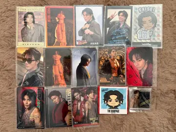 란페 타케치 카이세이 아크릴 스탠드 트레이딩 카드 묶음 판매