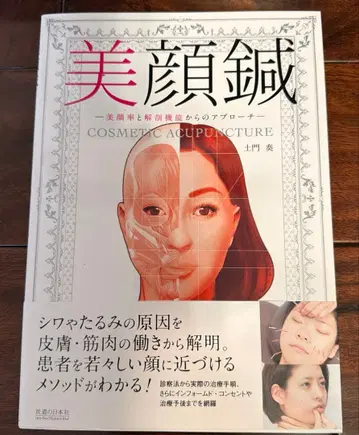 미안침 미안율과 해부학적 기능으로부터의 접근