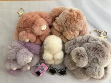 floats! 모후모후 씨