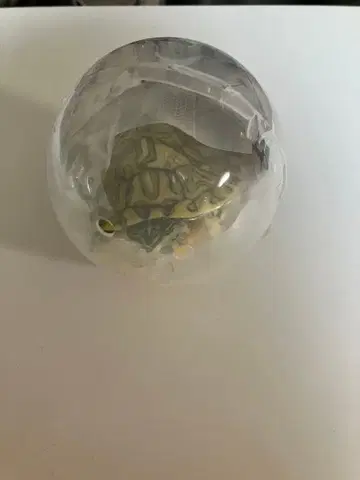 생물대도감 어드밴스 거북 02 미시시피붉은귀거북(파스텔)