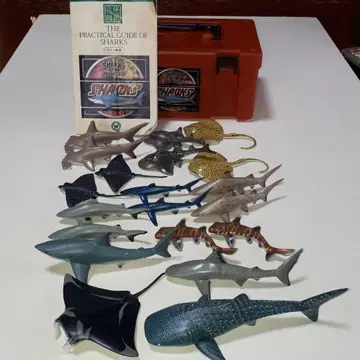 칼라라타 입체도감 샤크스 오브 더 월드: 상어의 동료들